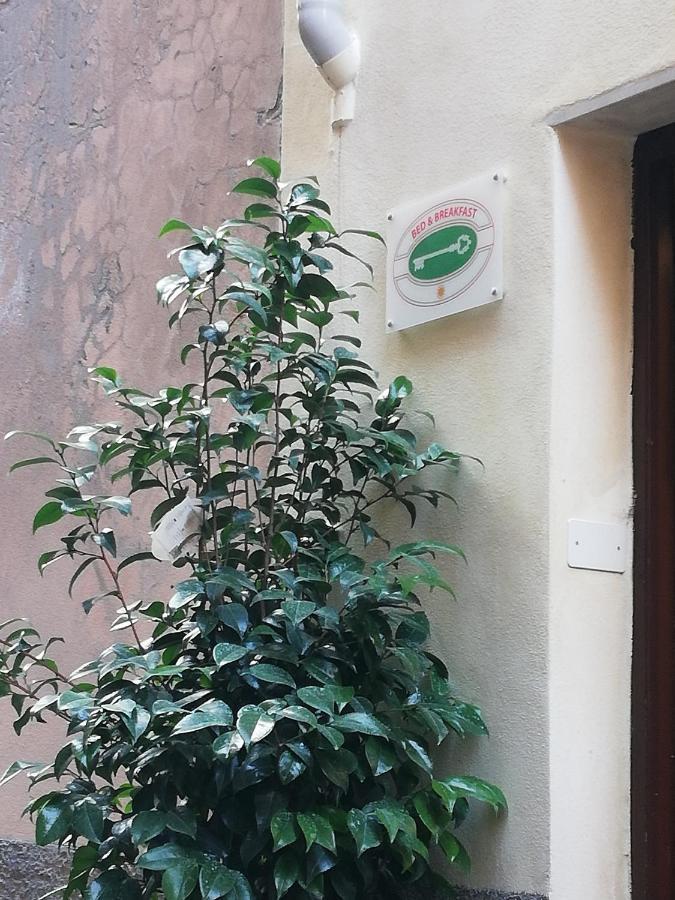 B&B Sotto Le Torri Albenga Eksteriør billede